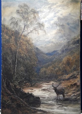 David Law (Glasgow 1831 - Londra 1901) "Paesaggio di montagna con cervo" -...
