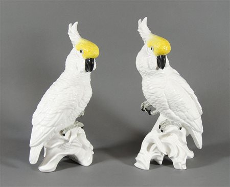 Lotto di 2 pappagalli in porcellana bianca. Inghilterra, XX secolo, disegno...