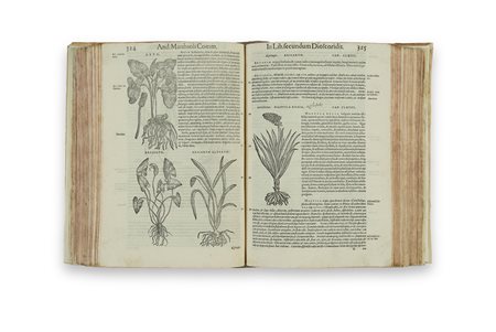 MATTIOLI, Pietro Andrea (1501-1577) - Commentarii secundo aucti, in libros...