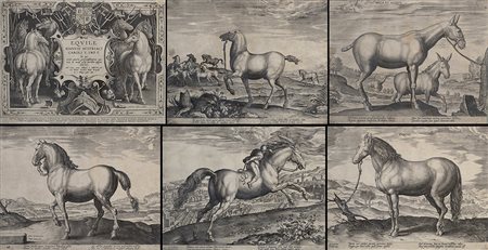 Gruppo di dodici antiche incisioni raffiguranti "Cavalli" più una di...