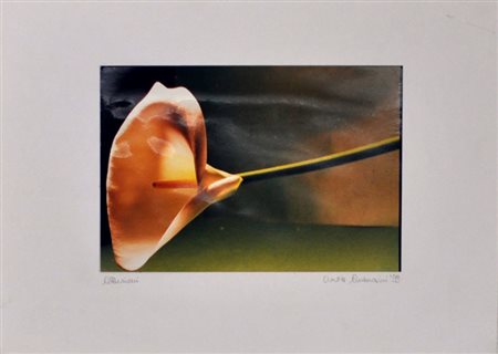 CINZIA AMBROSINI Allusioni, 1999 Fotografia a colori – es. unico cm. 12x17,5...