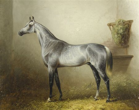 Pittore austriaco del XIX secolo "Cavallo in posa" cm. 46x54 - olio su tela