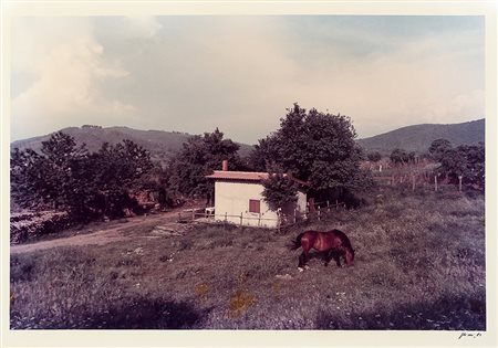 LUIGI GHIRRI 1943 - 1992 Senza titolo, 1982 Stampa vintage da negativo a...