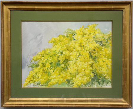 Tina de Stroebel "Mimosa" aacquarello firmato in basso a sinistra (cm 42x56)...