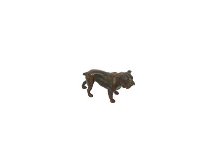 Scultura in bronzo raffigurante un bulldog (l cm 20)