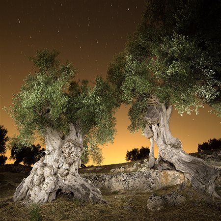 PASQUALE LADOGANA Castellana Grotte 1959 " Melissa e Amaltea" 2016 fotografia...