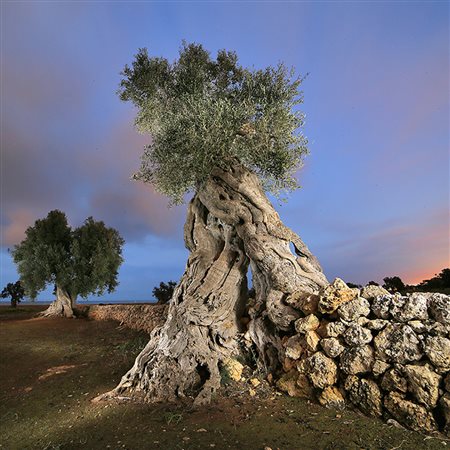 PASQUALE LADOGANA Castellana Grotte 1959 " Tellure " 2016 fotografia su carta...