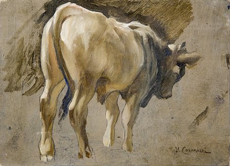 UMBERTO COROMALDI, Studio per una mucca, Olio su cartoncino applicato su...