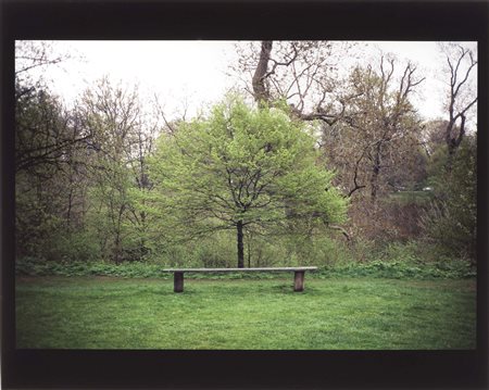 Gabriel Orozco, Veracruz (Messico) 1962, Tree Bench, 1996, Cibachrome, es....