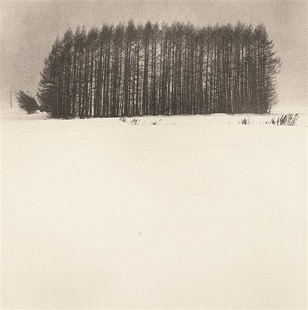 MICHAEL KENNA (1953) Trees in snow storm, Wakoto, Hokkado, Japan 2003 Stampa...