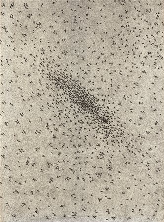 EDWARD RUSCHA (1937) Insect Slant 1973 Multiplo (cartocino) 55,5 x 75,7 cm...