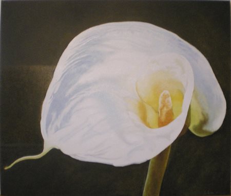 MORENO PAGLIARI "Calla" 60x90 olio su tela