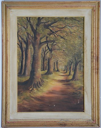 Ignoto "Viale nel bosco" olio su tela (cm 70x50) tracce di firme in basso a...