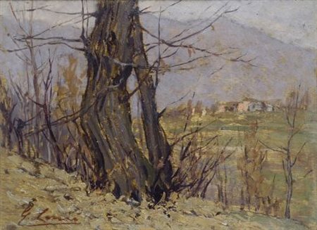 Giovanni Lomi (Livorno, 1889 - 1969) ALBERI Olio su tavoletta, cm. 14x19,5...