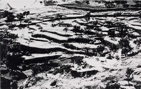 GIACOMELLI MARIO Senigallia 1925 - 2000 Puglia stampa ai sali di bromuro...