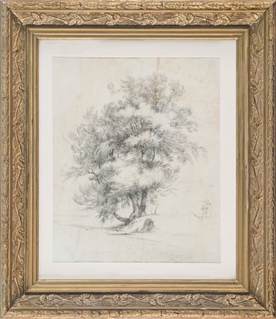 Anonimo della prima metà del XIX secolo,&nbsp;Paesaggio con grande albero....