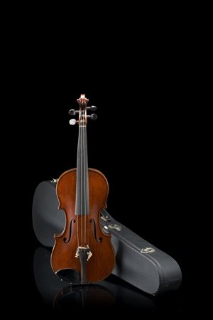 Violino di Mirco Tarasconi, Saronno 1920 c.Fondo in due pezzi con profonda...