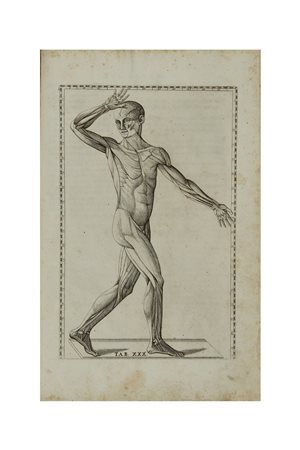 EUSTACHI, Bartolomeo (?1500-1574) - Tabulae anatomicae. Roma: Tommaso...