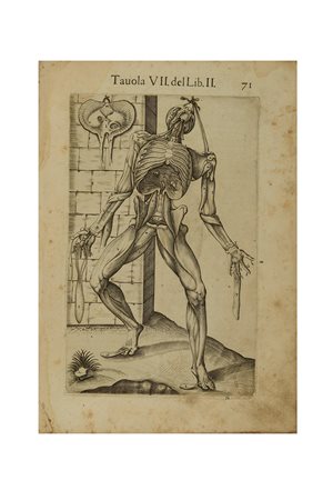 VALVERDE, Juan De (attivo 1560) - Anatomia del corpo umano. Roma: Antonio...