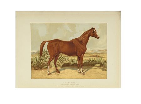 TWEEDIE, William (1826-1878) - The Arabian horse, his country and people with...