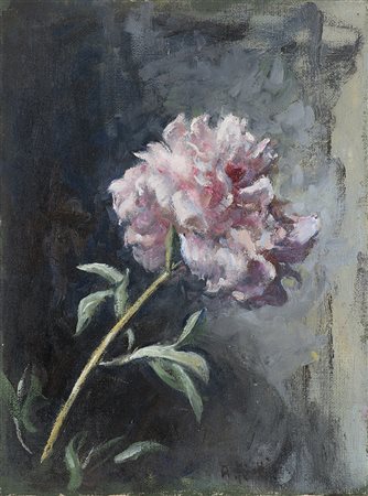 Arturo Rietti (Trieste 1863 - Padova 1943)"Peonia rosa"olio su tela (cm...