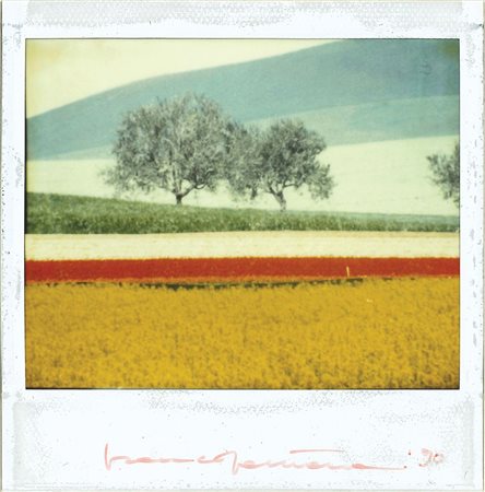 FRANCO FONTANA (1933) Senza titolo, 1990 Polaroid 10 x 10 cm (7,5 x 9,3 cm...