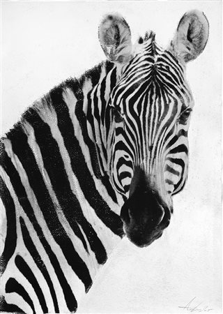 PIERPAOLO DE BONA (1964) Zebra, 2015 Stampa ai sali d'argento su carta cotone...