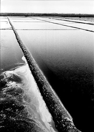 PAOLO MONTI (1908 - 1982) Salina di Cervia, anni 1970 Stampa vintage alla...