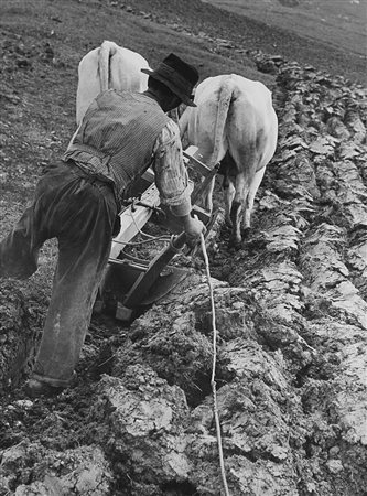 BRUNO STEFANI (1901 - 1976) Arando, anni 1950 Stampa vintage alla gelatina ai...