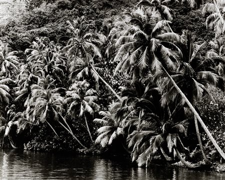 GIAN PAOLO BARBIERI (1938) Moorea, 1997 Stampa vintage alla gelatina ai sali...