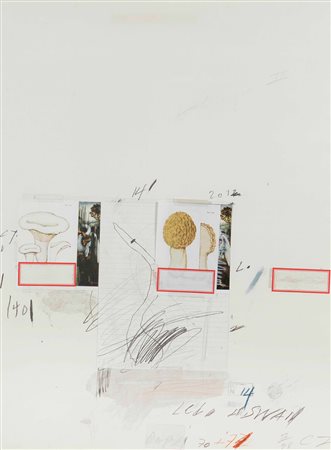 Cy Twombly (1928-2011), Natural History Part I, Mushrooms, 1974, collage e...