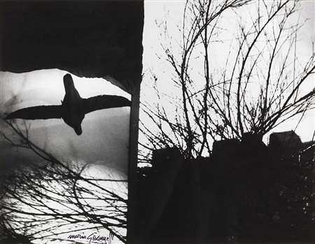 Mario Giacomelli Senigallia (An) 1925 - 2000 Senza titolo Stampa ai sali...