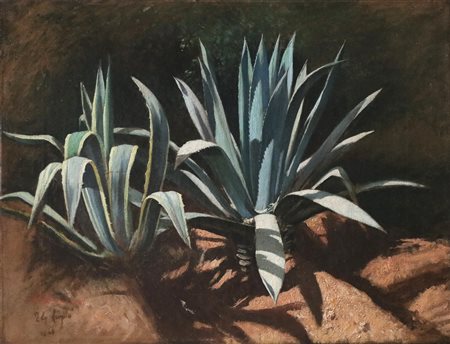 LOJACONO FRANCESCO (1838 - 1915) Attribuito a. Studio per agave. . . Firma e...