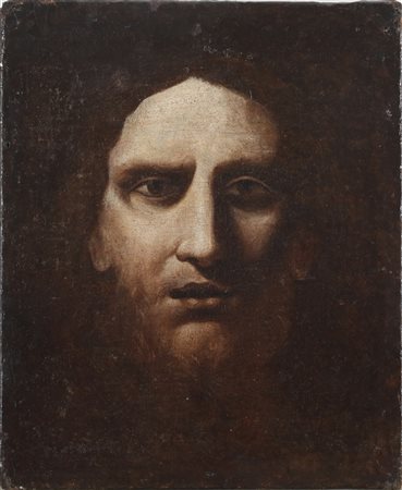 ARTISTA NAPOLETANO DEL XVII SECOLO Volto d'uomo con barba. Olio su tela . Cm...