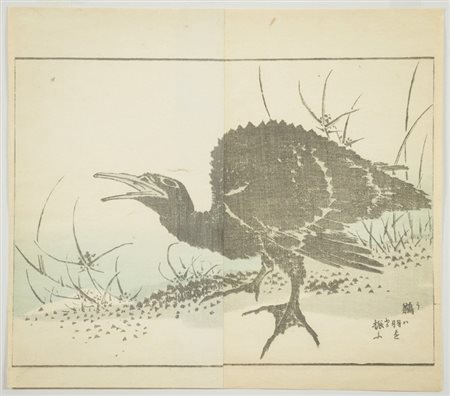 Katsushika Hokusai ( 1760 1849) Cormorano agita le ali Xilografia su carta,...