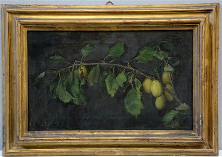 Ottone Casimiro (Vigevano 1856 - 1923)"Prugne" olio su tela (cm 27x43)...