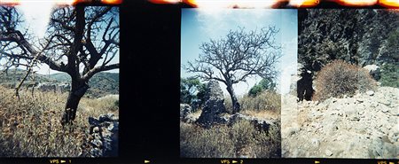 CRISITINA OMENETTO (1942)Kythira 1997Stampa fotografica vintage a colori...