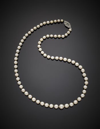 Collana con perle coltivate bianco crema di mm 6,70/7,50 con chiusura in oro...