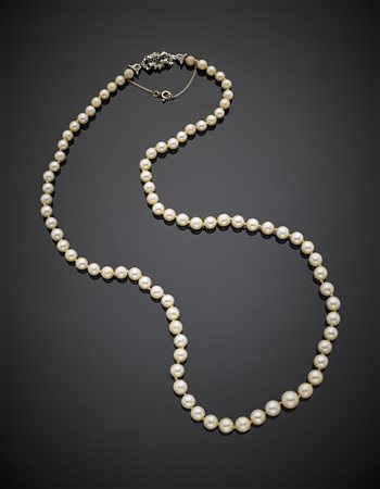Collana in perle coltivate a scalare da mm 5,50 a mm 8,67, con chiusura in...