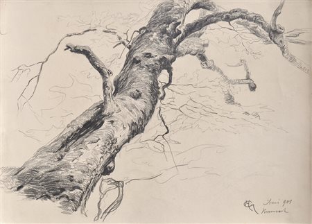 Hugo Grimm Buchenstamm, Kramsach, 1901;Schwarze Kreide, 28,5 x 39,6 cm...