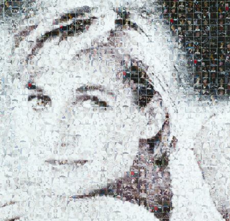 Maria Murgia Ossi (SS) Omaggio a Lady Diana, 2008 Foto mosaico digitale, cm....