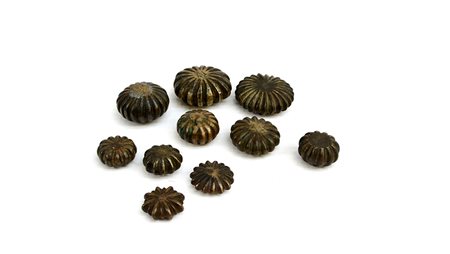 Lotto composto da dieci pesi lenticolari in ottone-ENTen brass weights