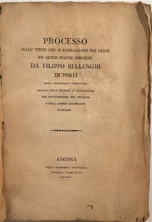 BELLENGHI, Filippo - Processo sulle tinte che si estraggono dai legni ed...