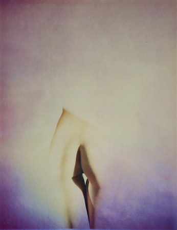 Toni Meneguzzo (1949) Nude, 2018 Photo metallic chrome, da polaroid cm 42,5 x...