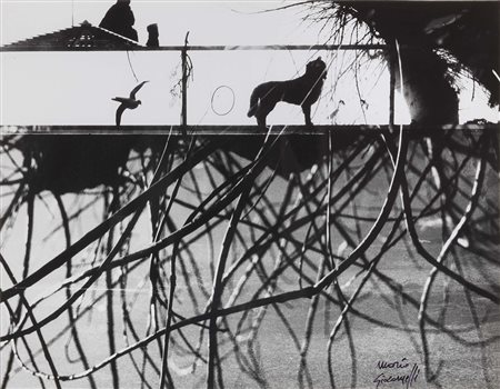 Mario Giacomelli Senigallia (An) 1925 - 2000 Senza titolo Stampa alla...