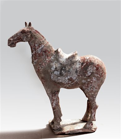 Manifattura cinese Cavallo in terracotta (difetti, restauri e mancanze,...