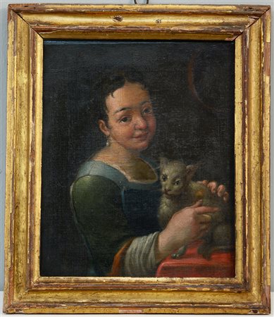 Ambito di Antonio Amorosi, secolo XVII "Fanciulla con gatto" olio su tela (cm...