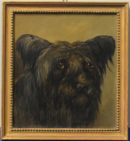 Scuola inglese secolo XIX "Ritratto di cane" olio su tavoletta (cm 22x20)...