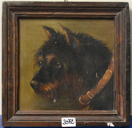 Scuola inglese secolo XIX "Ritratto di cane" olio su cartone pressato (cm...