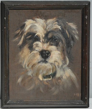 Scuola inglese secolo XIX "Ritratto di cane" olio su tela (cm 21x25,5)...